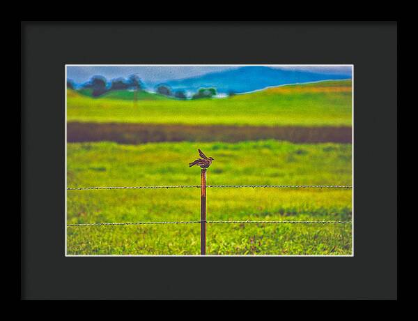 Small Bird Ready for take off Landscape - Framed Print