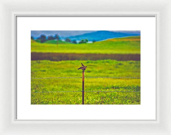 Small Bird Ready for take off Landscape - Framed Print