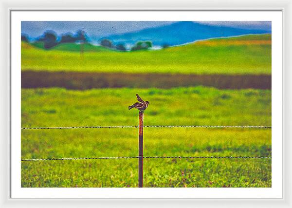 Small Bird Ready for take off Landscape - Framed Print