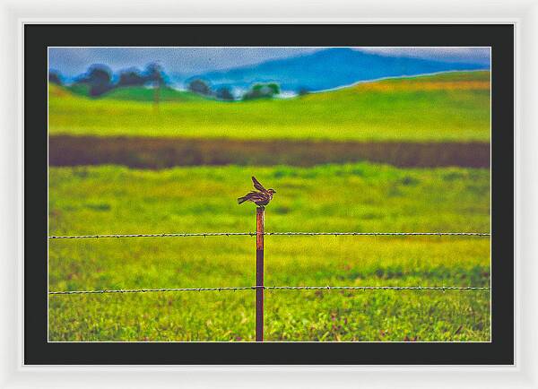 Small Bird Ready for take off Landscape - Framed Print