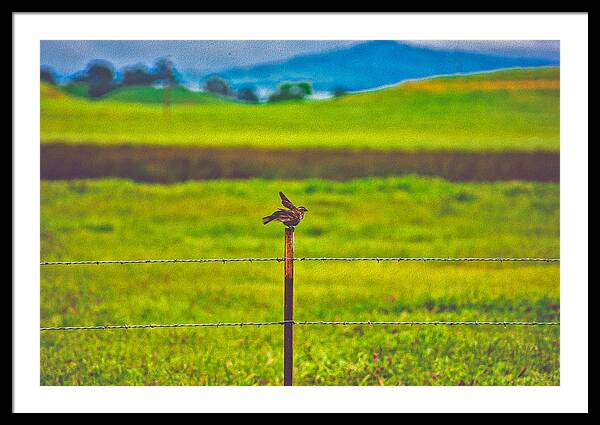 Small Bird Ready for take off Landscape - Framed Print
