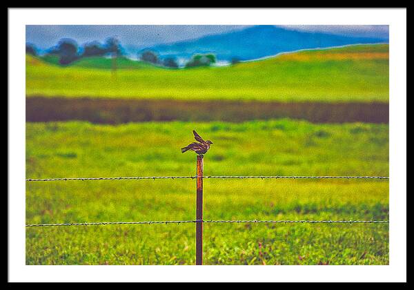 Small Bird Ready for take off Landscape - Framed Print
