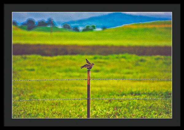 Small Bird Ready for take off Landscape - Framed Print