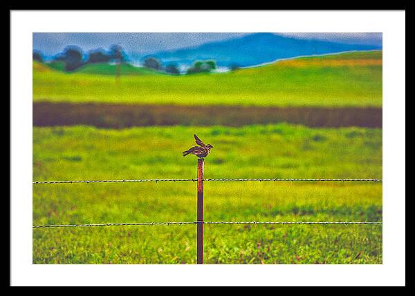Small Bird Ready for take off Landscape - Framed Print