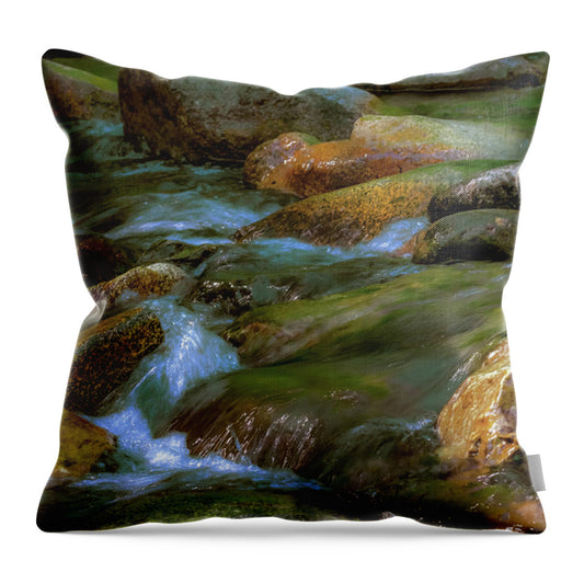 Smooth Paint Rushing Waters - Throw Pillow