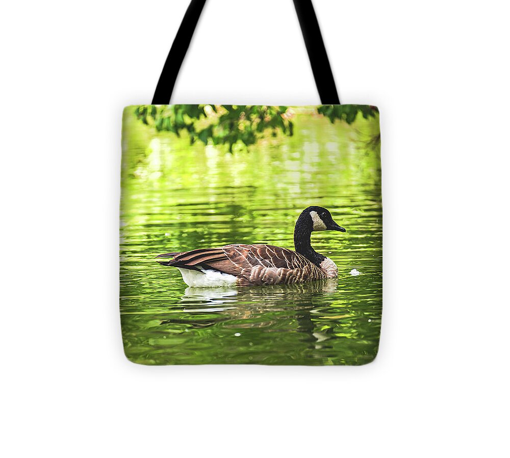 Solitary Goose on Tranquil Pond - Tote Bag