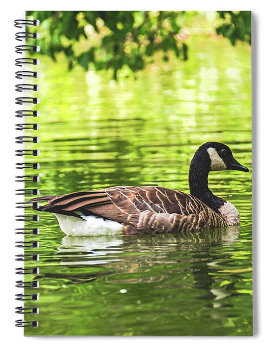 Solitary Goose on Tranquil Pond - Spiral Notebook