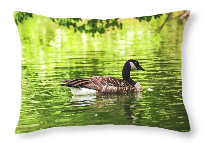 Solitary Goose on Tranquil Pond - Throw Pillow