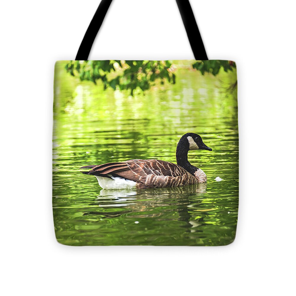Solitary Goose on Tranquil Pond - Tote Bag