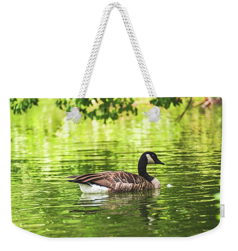 Solitary Goose on Tranquil Pond - Weekender Tote Bag