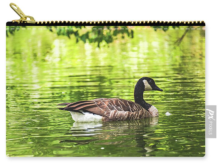 Solitary Goose on Tranquil Pond - Zip Pouch