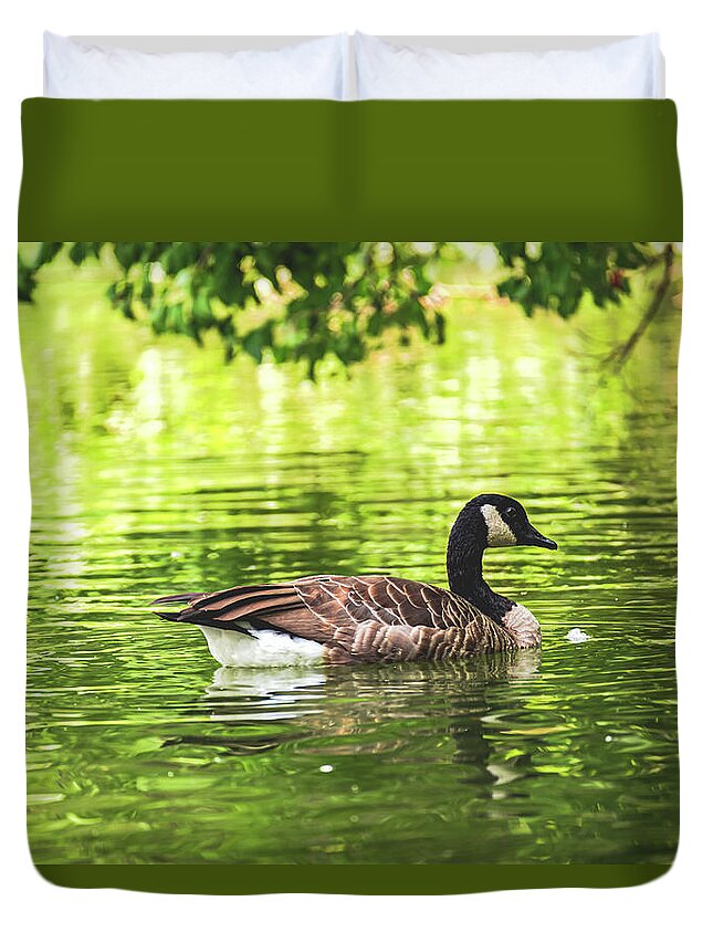 Solitary Goose on Tranquil Pond - Duvet Cover