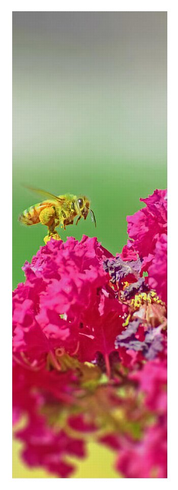 Standing Still In Life Magenta Flowers and Bee - Yoga Mat