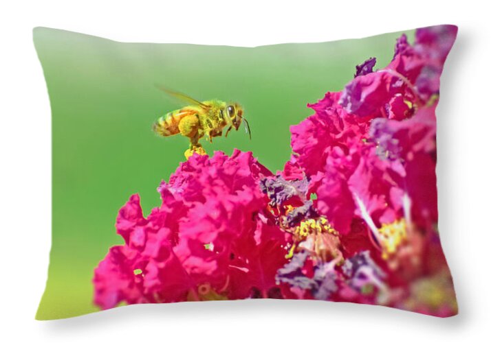 Standing Still In Life Magenta Flowers and Bee - Throw Pillow