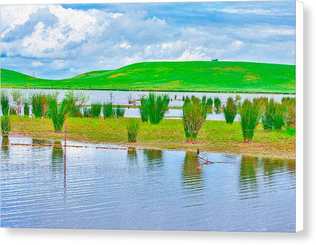 Stanislaus Reservoir Landscape - Canvas Print