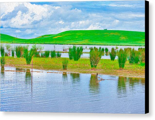 Stanislaus Reservoir Landscape - Canvas Print