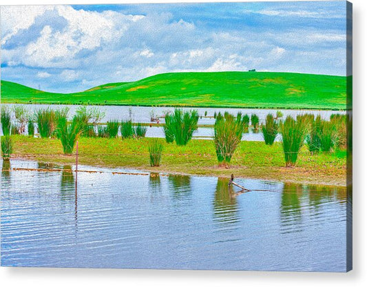 Stanislaus Reservoir Landscape - Acrylic Print