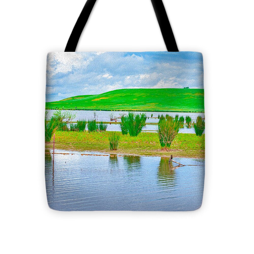 Stanislaus Reservoir Landscape - Tote Bag