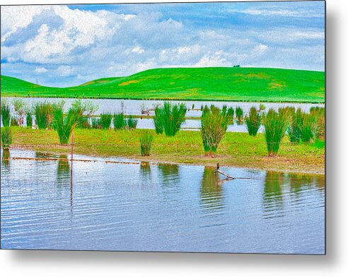 Stanislaus Reservoir Landscape - Metal Print