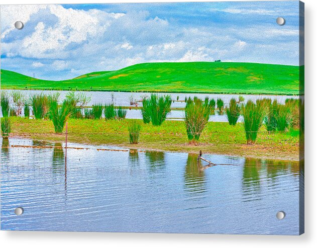 Stanislaus Reservoir Landscape - Acrylic Print