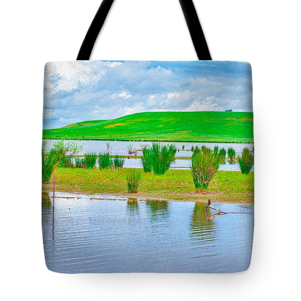 Stanislaus Reservoir Landscape - Tote Bag