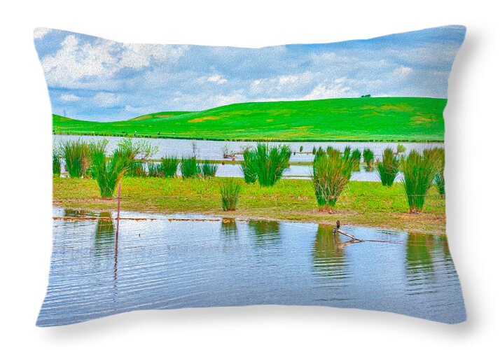 Stanislaus Reservoir Landscape - Throw Pillow