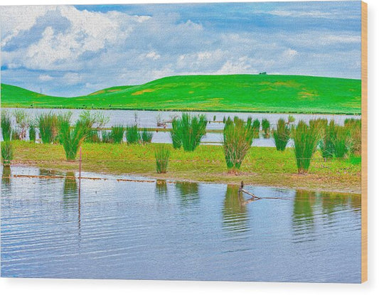 Stanislaus Reservoir Landscape - Wood Print