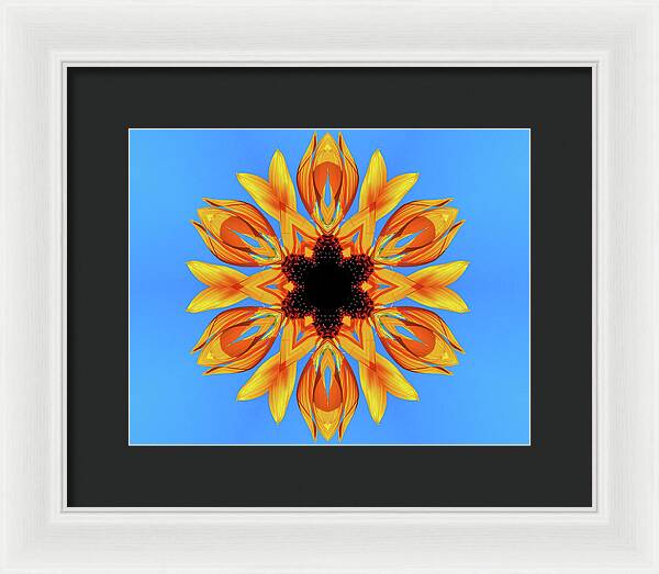 Sunflower Blues Mandala - Framed Print