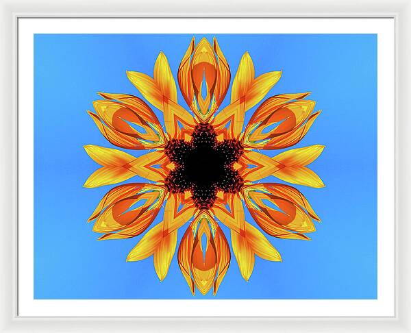 Sunflower Blues Mandala - Framed Print