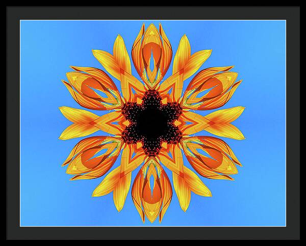 Sunflower Blues Mandala - Framed Print