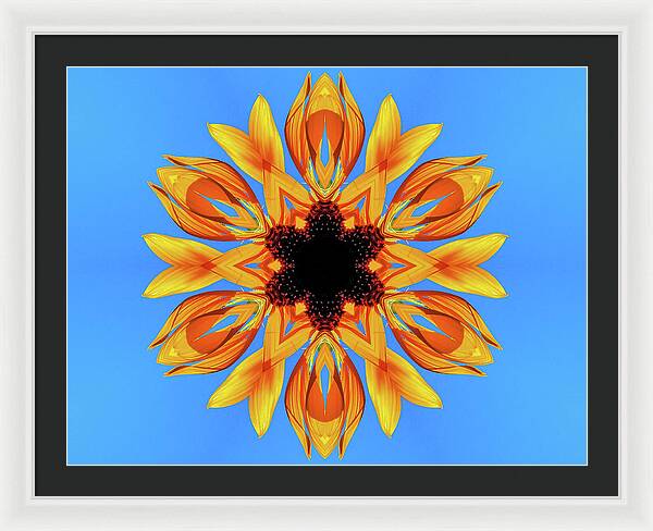 Sunflower Blues Mandala - Framed Print