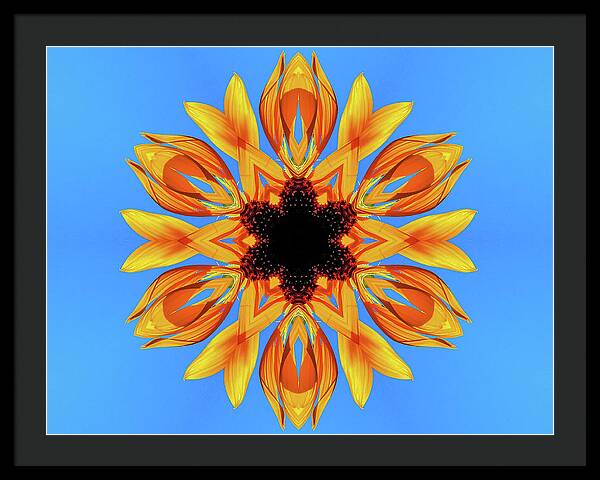 Sunflower Blues Mandala - Framed Print