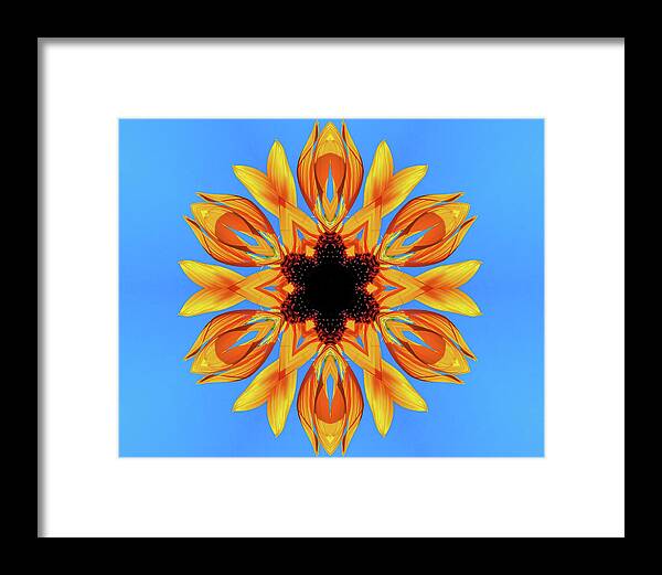 Sunflower Blues Mandala - Framed Print