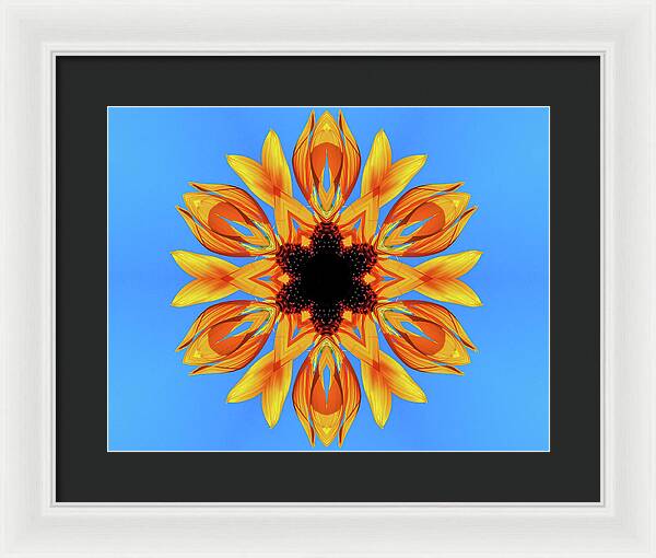Sunflower Blues Mandala - Framed Print