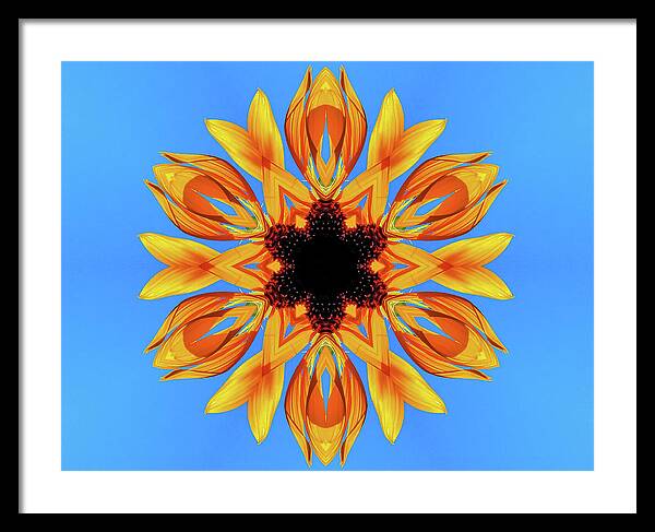 Sunflower Blues Mandala - Framed Print