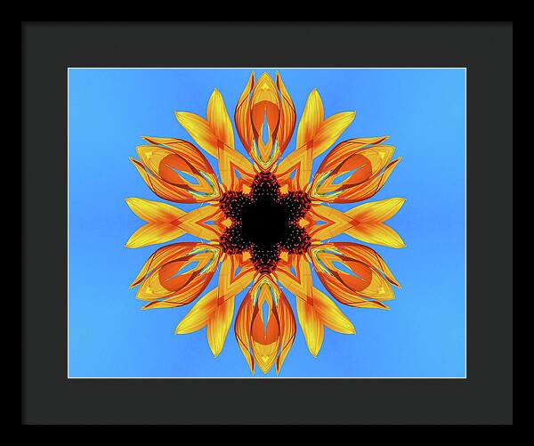 Sunflower Blues Mandala - Framed Print