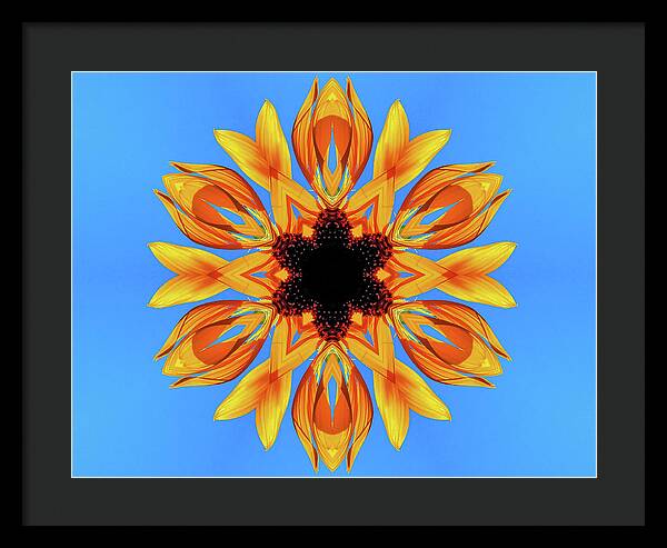 Sunflower Blues Mandala - Framed Print