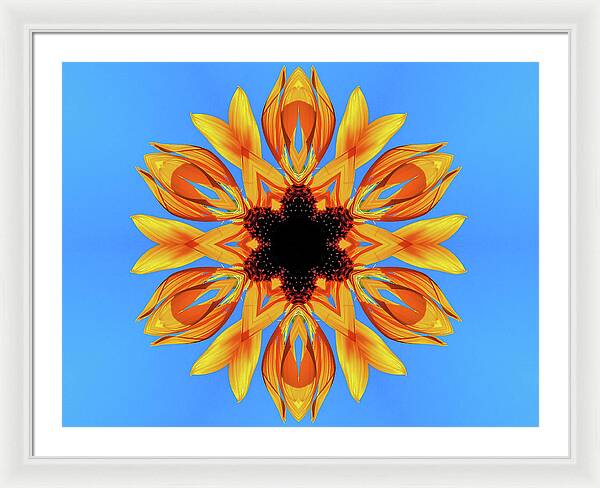 Sunflower Blues Mandala - Framed Print