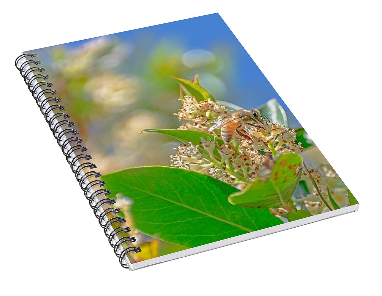 Sunny Morning of a Busy Bee  - Spiral Notebook