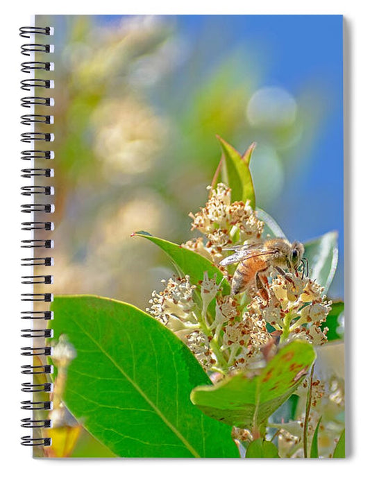 Sunny Morning of a Busy Bee  - Spiral Notebook
