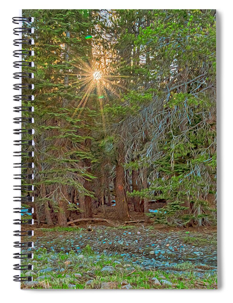 Sunrays Peeking Through the Pines in Yosemite  - Spiral Notebook