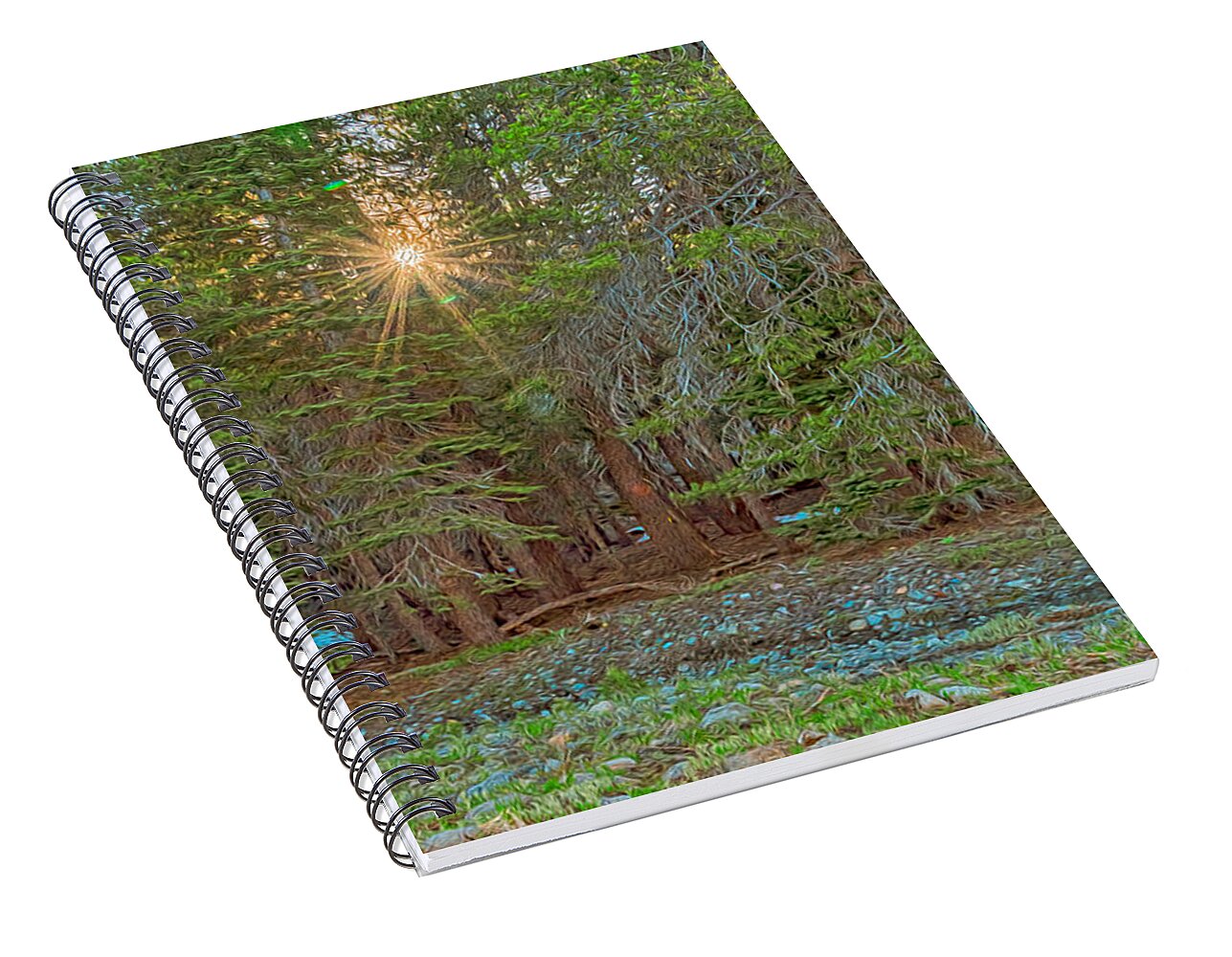 Sunrays Peeking Through the Pines in Yosemite  - Spiral Notebook
