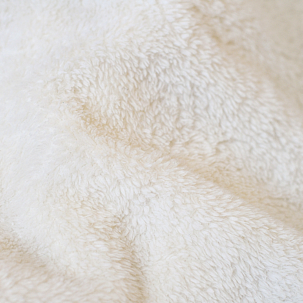 Cal-Expo Sacramento California 4 - Blanket