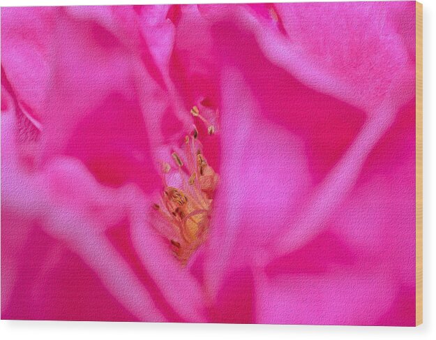 The inside of a Magenta Flower Landscape - Wood Print