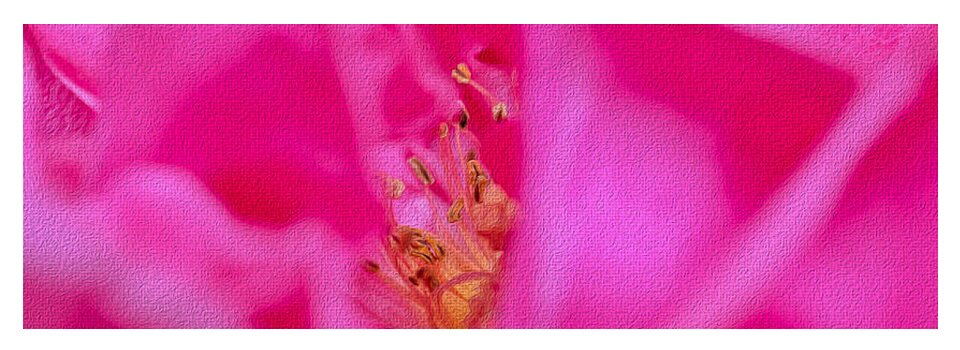 The inside of a Magenta Flower Landscape - Yoga Mat