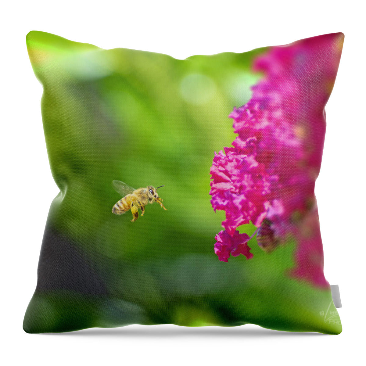 The Love of a Bee for Magenta Flowers - Throw Pillow