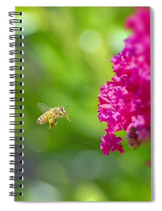 The Love of a Bee for Magenta Flowers - Spiral Notebook