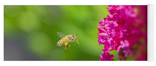 The Love of a Bee for Magenta Flowers - Yoga Mat