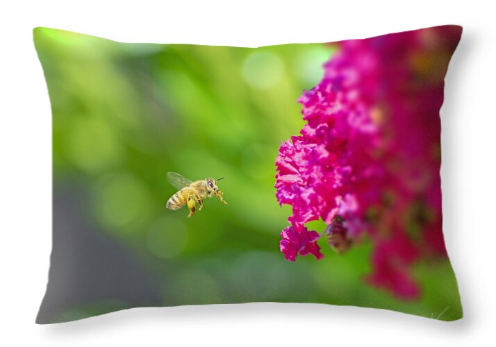 The Love of a Bee for Magenta Flowers - Throw Pillow