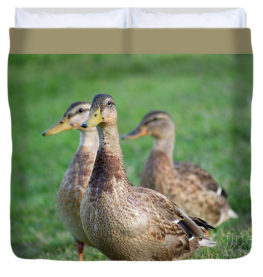 Three Little Ducks - Duvet Cover